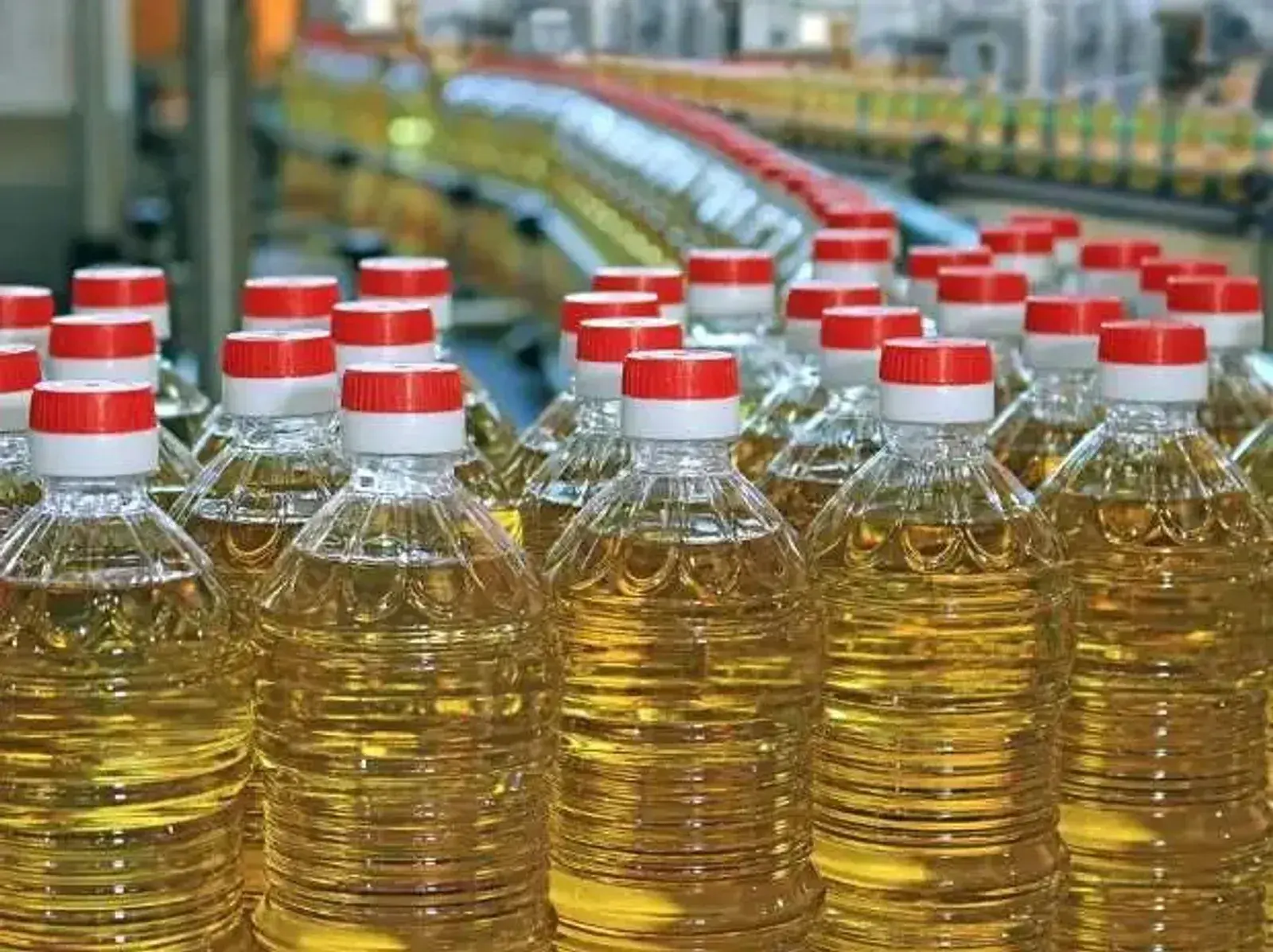 Truckload of Refined Vegetable Oil, New Condition, Wholesale Inventory